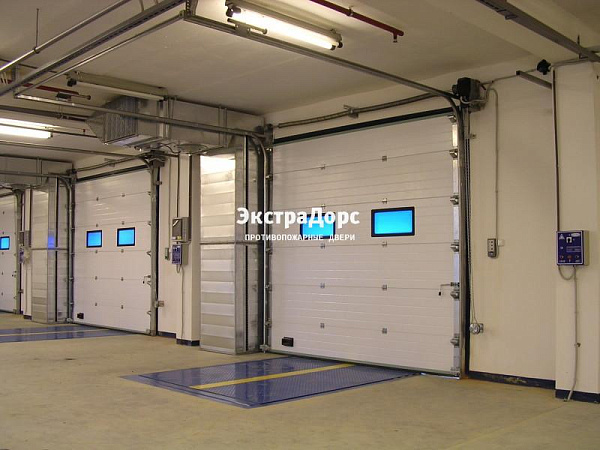 Подъемные автоматические противопожарные ворота с окнами в Пушкино  купить