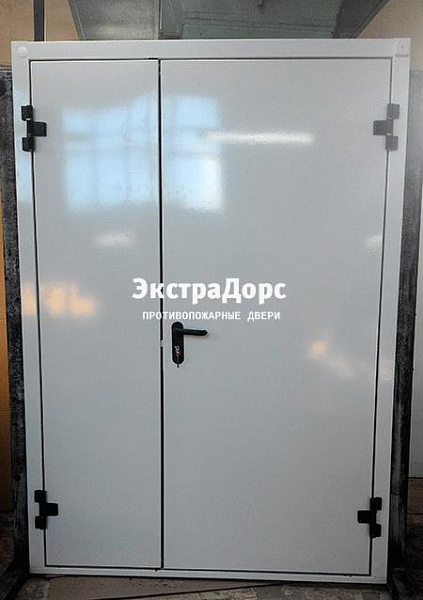 Противопожарная дверь EI 30 3 типа двупольная белая в Пушкино  купить