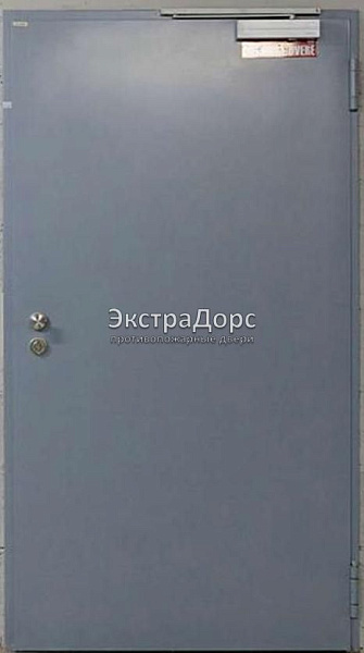 Противопожарная дверь однопольная дымогазонепроницаемая металлик в Пушкино  купить