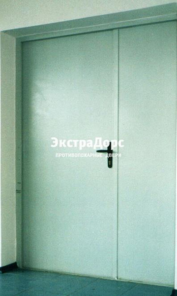 Противопожарная дверь двупольная белая без порога в Пушкино  купить