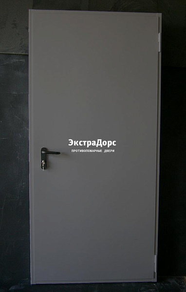 Дверь металлическая противопожарная EI 60 ДПМ 2 типа серая в Пушкино  купить
